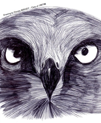 1988 • My focal beak-on glide path. Source: private photo library.